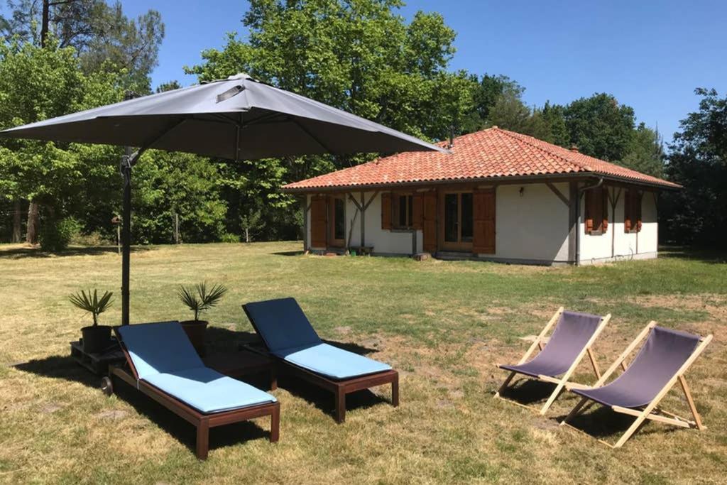 Spa et détente au cœur de la forêt des Landes Villa Luglon Exterior foto