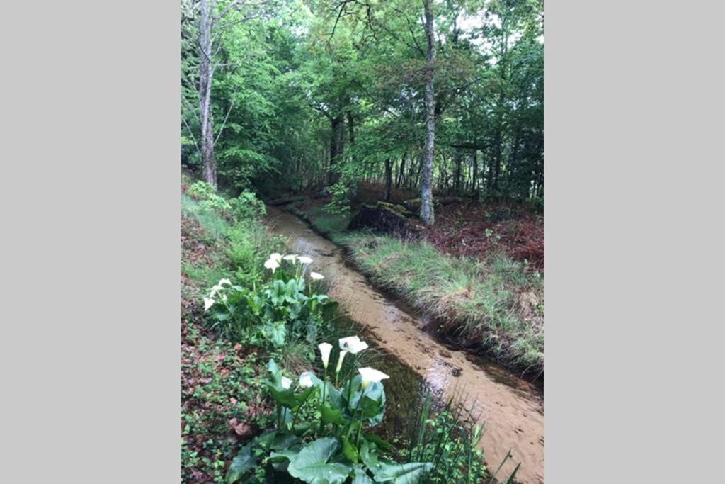 Spa et détente au cœur de la forêt des Landes Villa Luglon Exterior foto