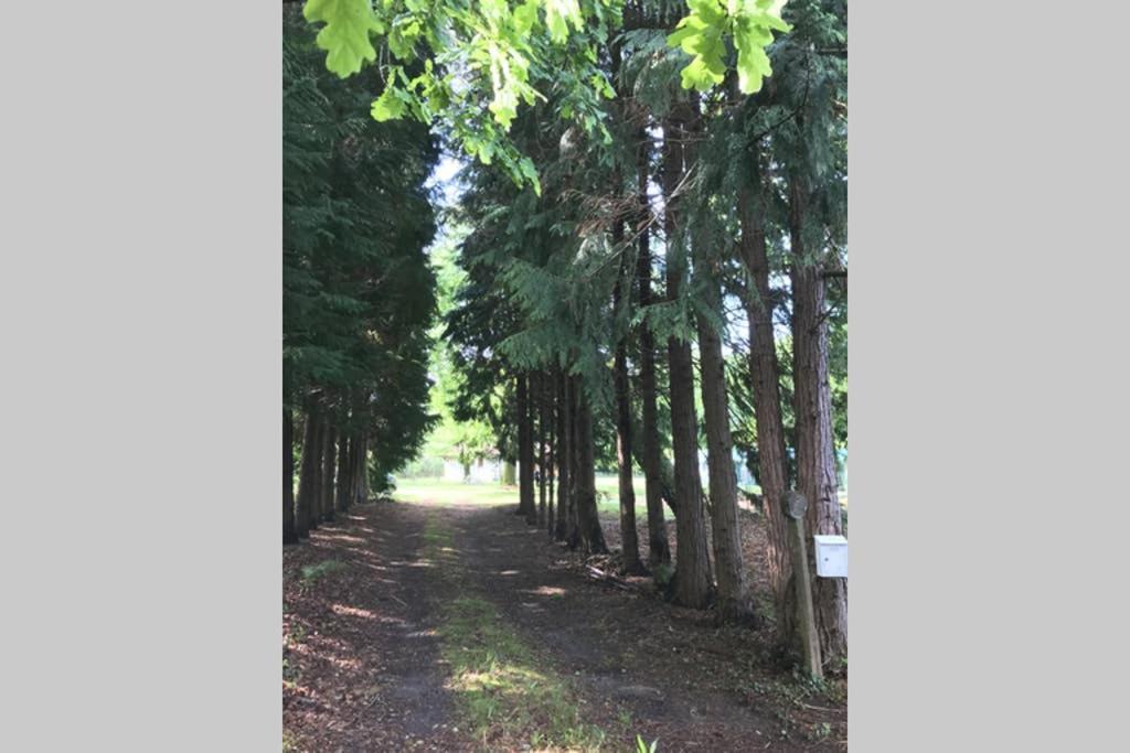 Spa et détente au cœur de la forêt des Landes Villa Luglon Exterior foto