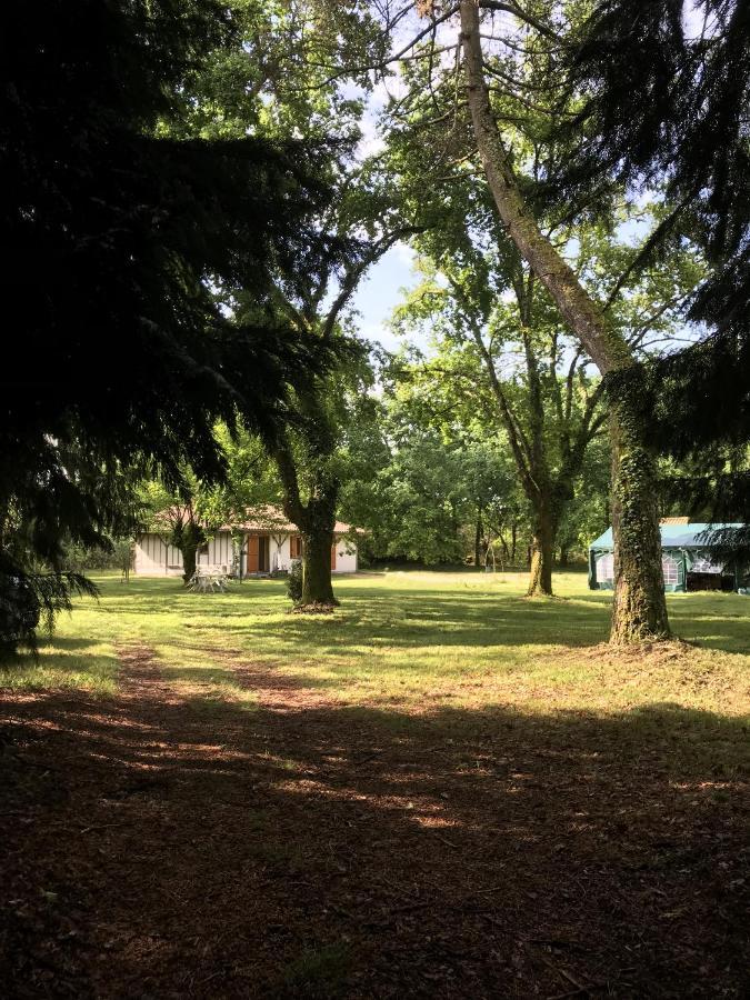 Spa et détente au cœur de la forêt des Landes Villa Luglon Exterior foto